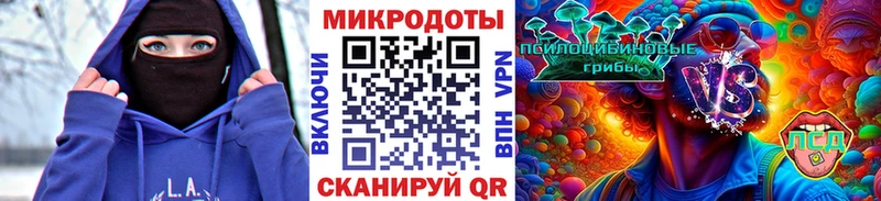 закладки  гидра вход  Псилоцибиновые грибы Psilocybe  Новосокольники 